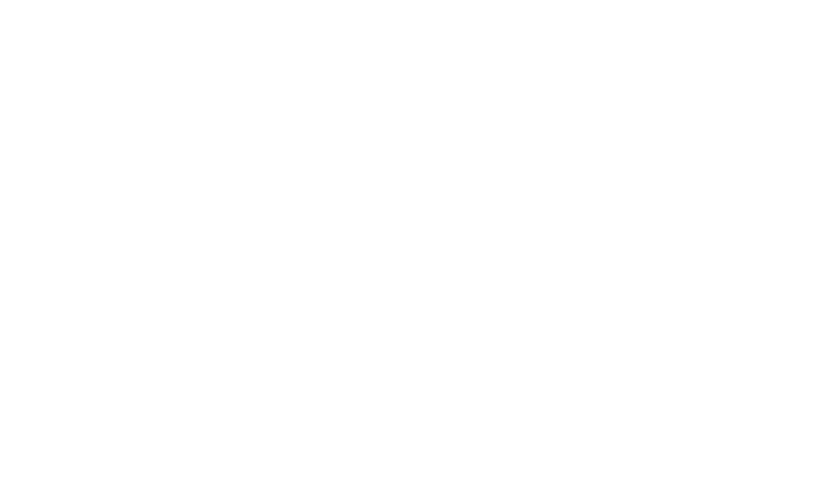 Diphiri Website logo